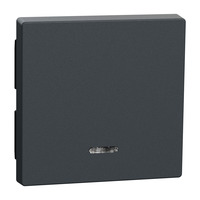 Merten Wippe Kontrollfenster für Schalter und Taster Einsatz, zweiteilige Wippe, Thermoplast anthrazit, Retail