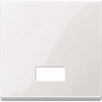 Merten Wippe mit Symbolfenster rechteckig, Kontrollschalter- und Taster-Einsatz, Typ 432819 weiß (glänzend), Retail