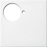 Busch-Jaeger Zentralscheibe alpinws, Zentralplatte weiß, Retail