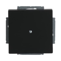 Busch-Jaeger Zentralscheibe mit Tragring, Blindabdeckung, matt, Kunststoff, Unterputz, 71x71 mm schwarz (matt), Retail