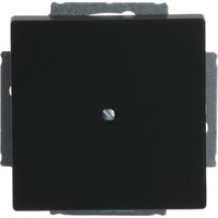 Busch-Jaeger Zentralscheibe mit Tragring, Blindabdeckung, matt, Kunststoff, Unterputz, 71x71 mm schwarz (matt), Retail