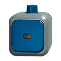 Busch-Jaeger Kontrollwechselschalter 2601/6 Schalter mit Wippe und Kontrollleuchte grau, Retail