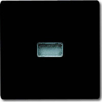 Busch-Jaeger Wippe Kontroll-Wechsel anthrazit, Retail