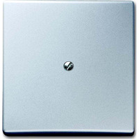 Busch-Jaeger Blindzentralscheibe mit Tragring, Blende Retail