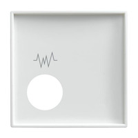 Busch-Jaeger Zentralscheibe 2548-020 F-914, Abdeckung weiß, Retail