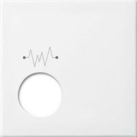 Busch-Jaeger Zentralscheibe 2548-020 F-914, Abdeckung weiß, Retail