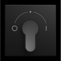 Busch-Jaeger Zentralscheibe 2557 SLPZ-915-101, Abdeckung schwarz, Retail