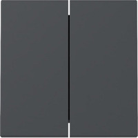 Gira Wippe zweifach anthrazit, Retail