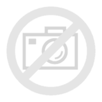 Campingaz Ethnic Minimaxi 29L, Kühltasche mehrfarbig