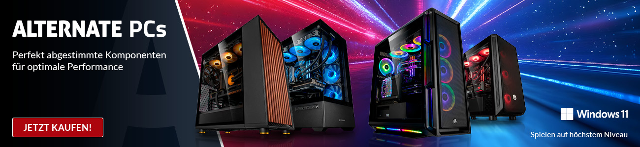 Microsoft Windows 11 Gaming PC